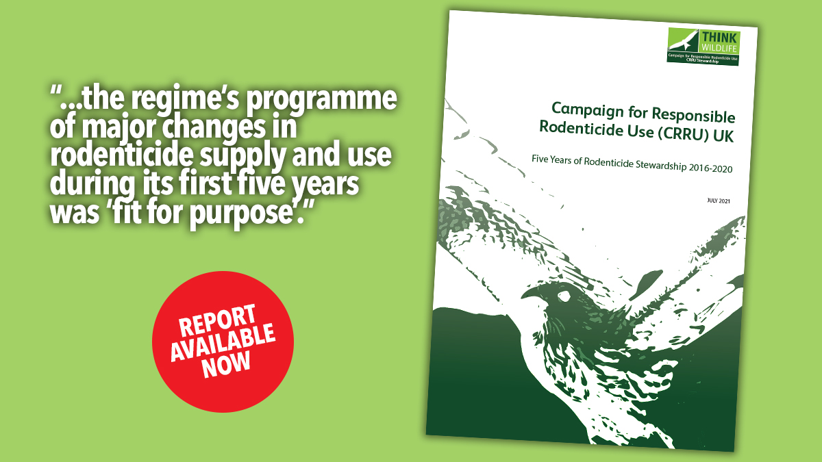 crru-five-years-report-available crru-five-years-report-available